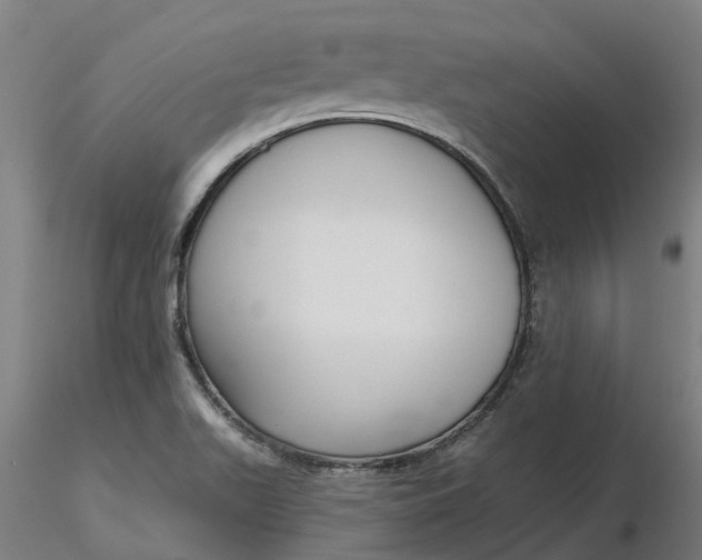 X0000116341511200912221430