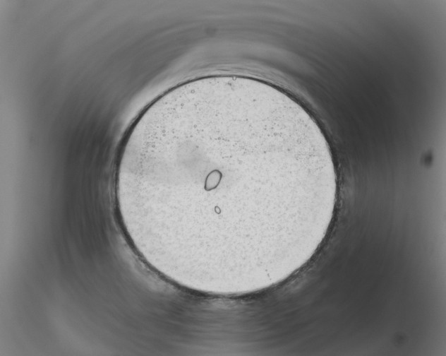 X0000116341514200912221430