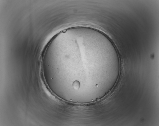 X0000116341515200912221430