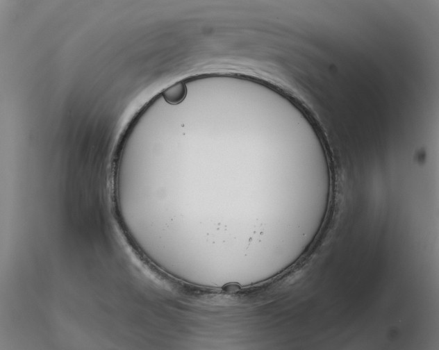 X0000116341517200912221430