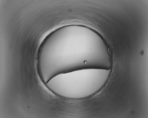 X0000116341518200912221430