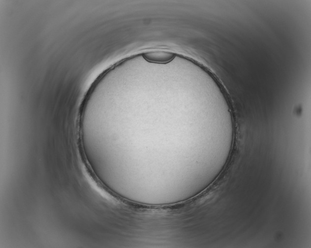 X0000116341519200912221430