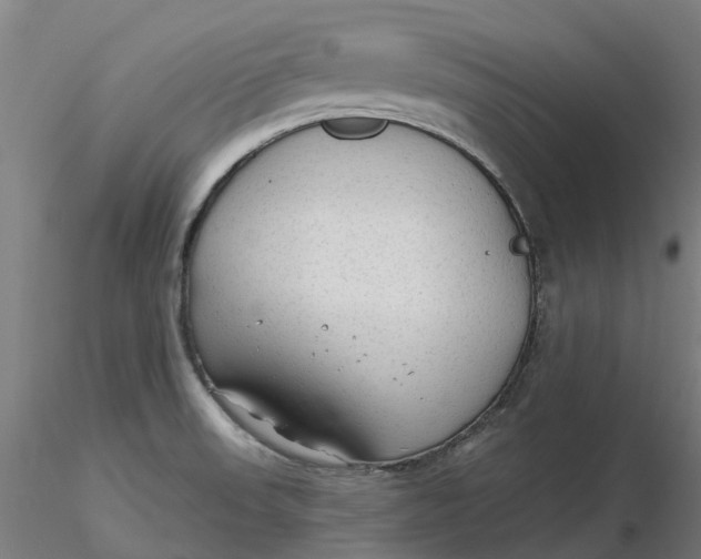 X0000116341523200912221430