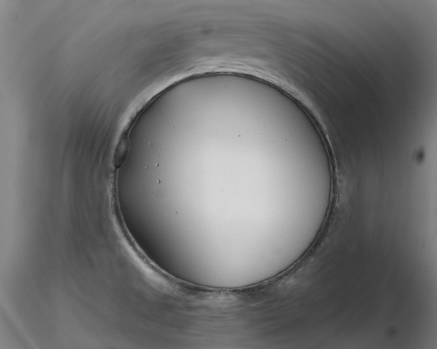 X0000116341525200912221430