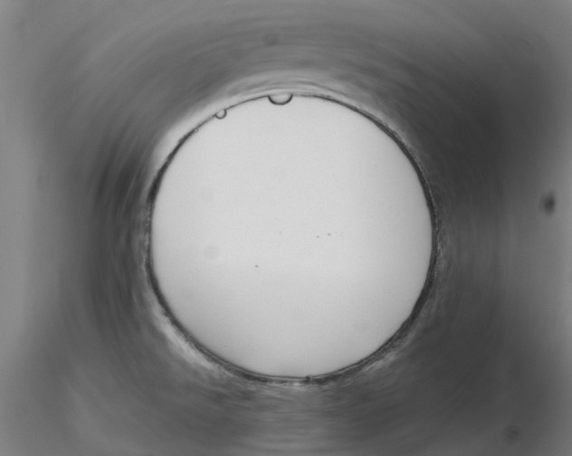 X0000116341526200912221430