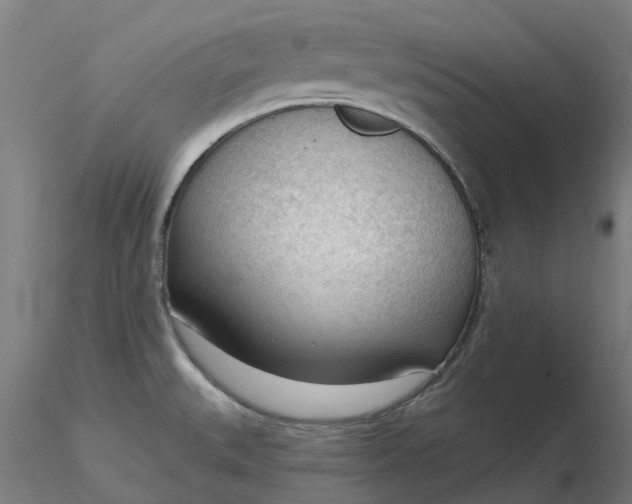 X0000116341527200912221430