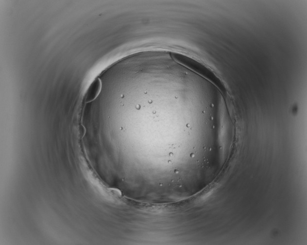 X0000116341530200912221430