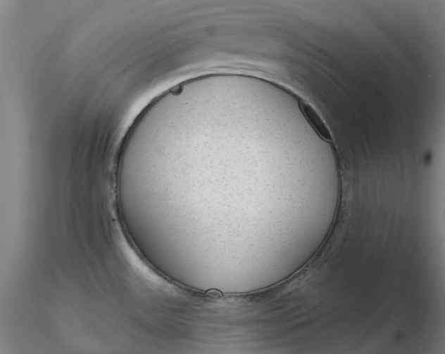 X0000116341531200912221430