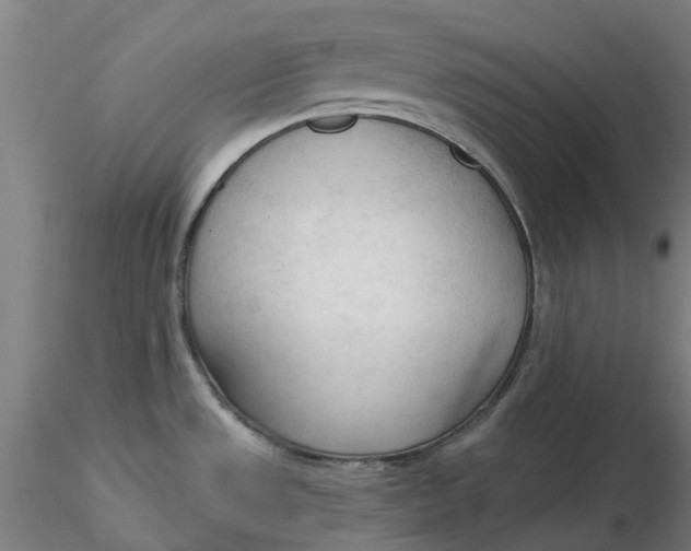 X0000116341533200912221430