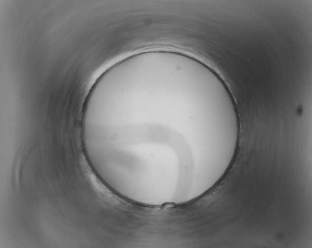 X0000116341534200912221430