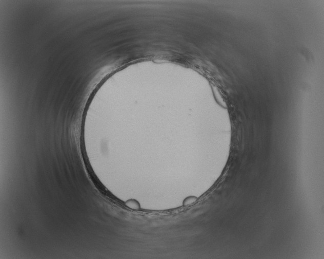 X0000116340003200912291621