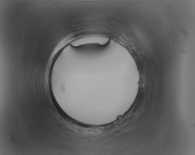 X0000116340004200912291621