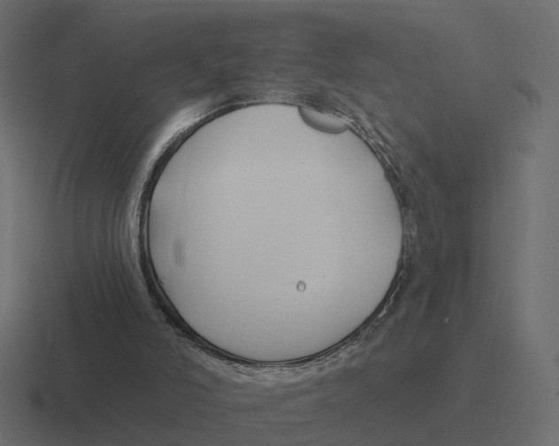 X0000116340006200912291621