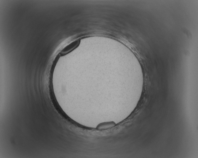 X0000116340007200912291621