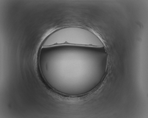 X0000116340008200912291621