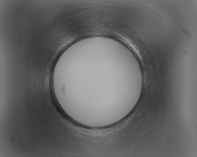 X0000116340010200912291621