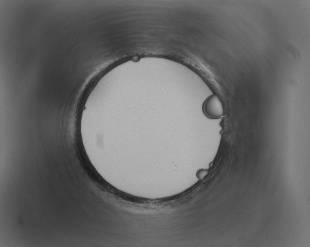 X0000116340012200912291621