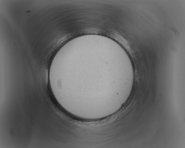 X0000116340013200912291621