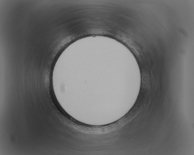 X0000116340015200912291621