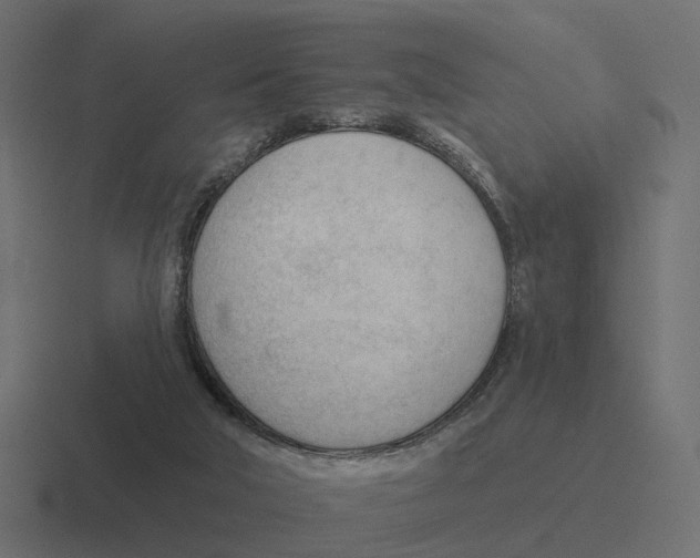 X0000116340018200912291621