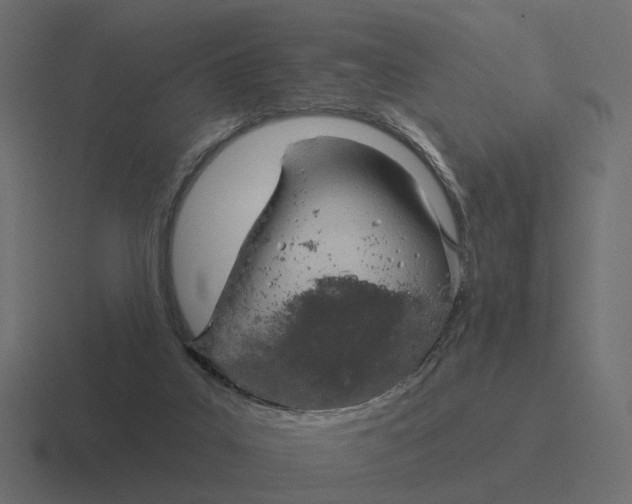 X0000116340019200912291621