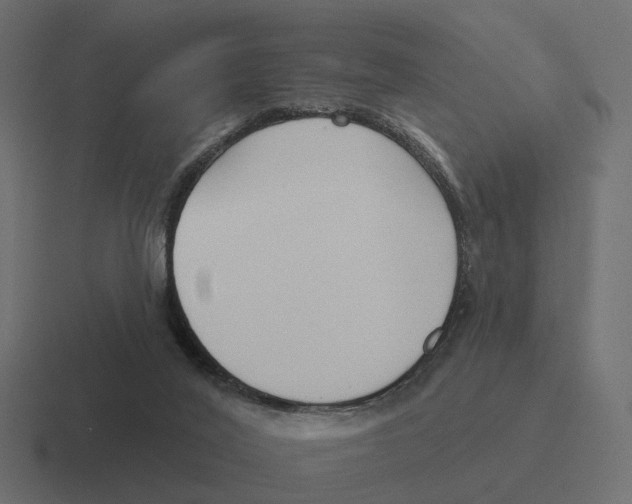 X0000116340020200912291621