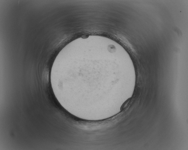 X0000116340021200912291621