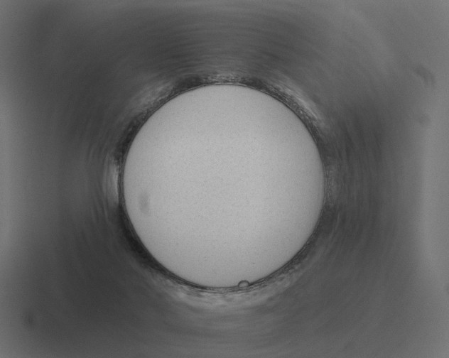 X0000116340022200912291621