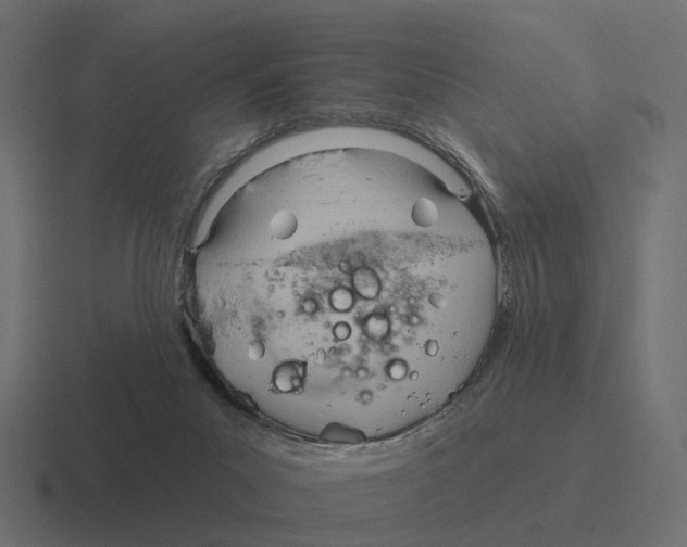 X0000116340023200912291621