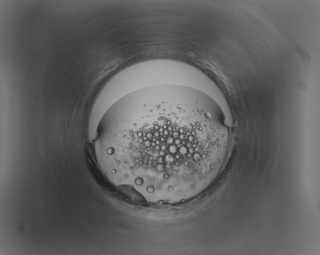 X0000116340024200912291621