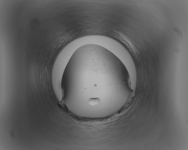 X0000116340025200912291621