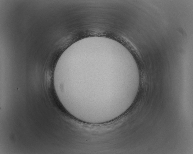 X0000116340026200912291621