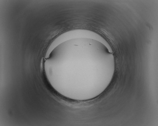 X0000116340028200912291621