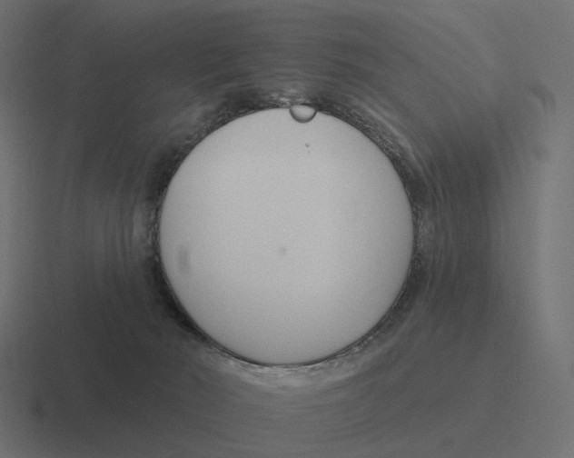 X0000116340030200912291621