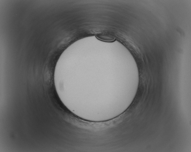 X0000116340031200912291621