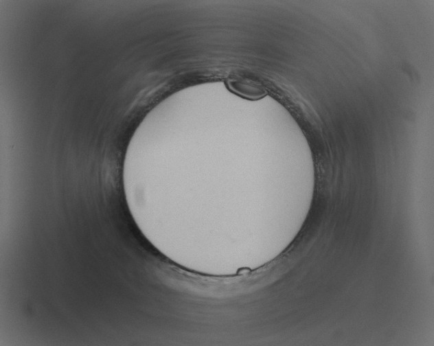 X0000116340035200912291621