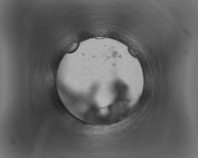 X0000116340037200912291621