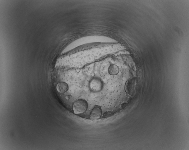 X0000116340038200912291621