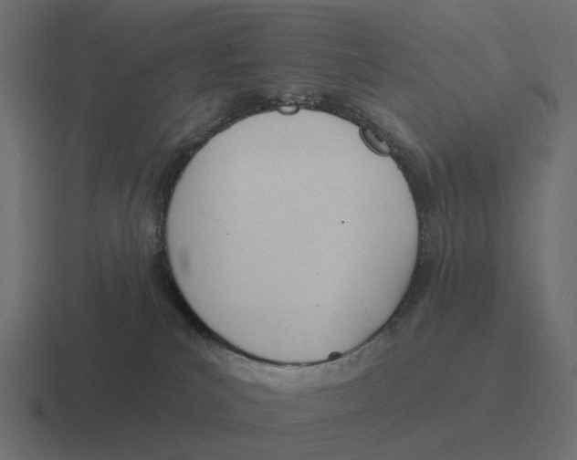 X0000116340039200912291621