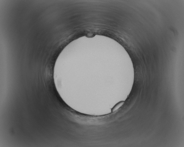 X0000116340040200912291620