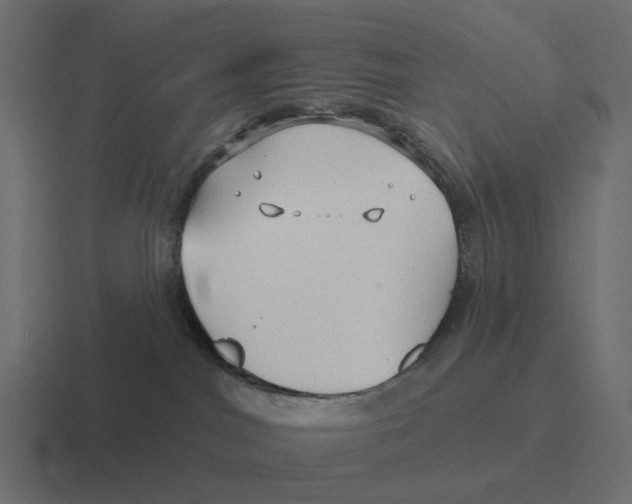 X0000116340044200912291620