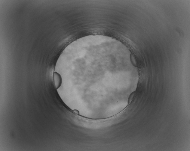 X0000116340047200912291620