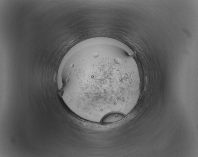 X0000116340048200912291620