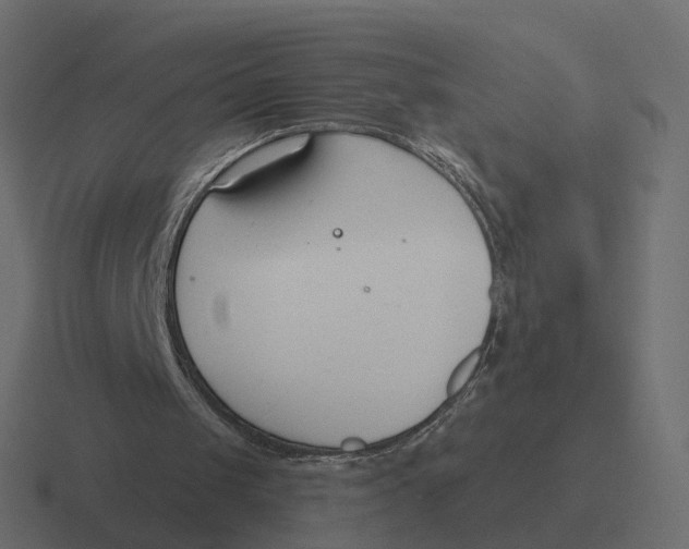 X0000116340049200912291620