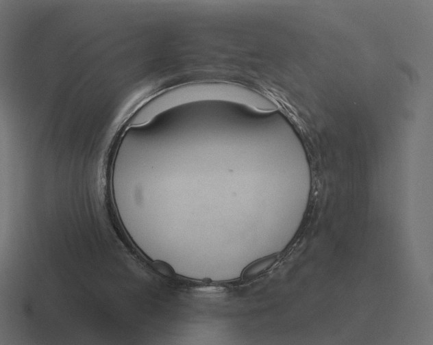 X0000116340053200912291620