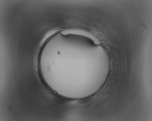 X0000116340054200912291620