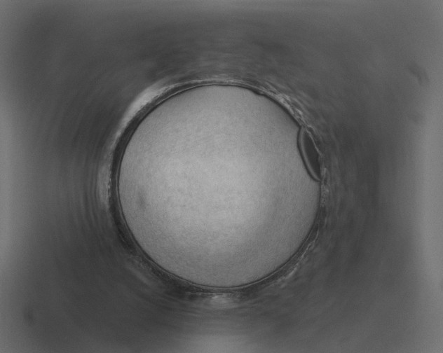 X0000116340056200912291620