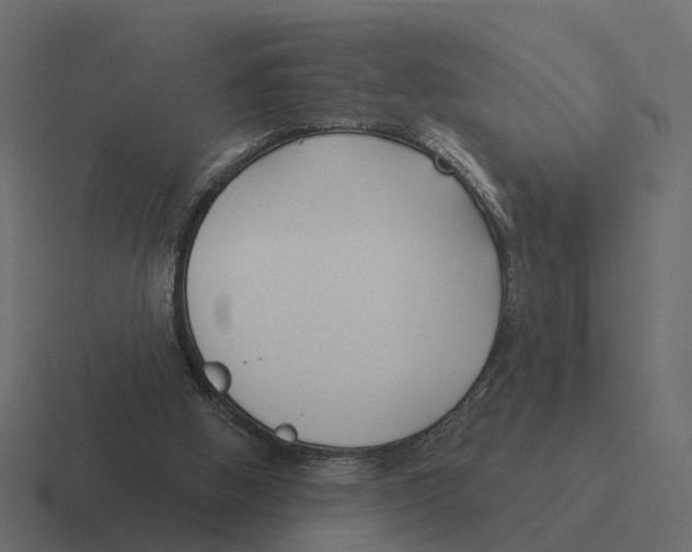 X0000116340058200912291620