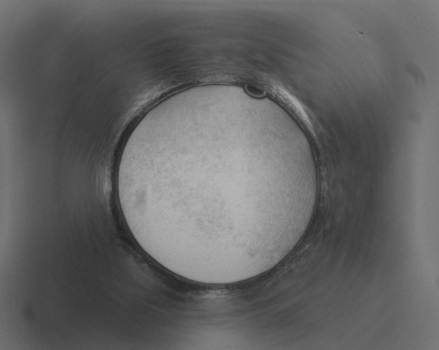 X0000116340059200912291620