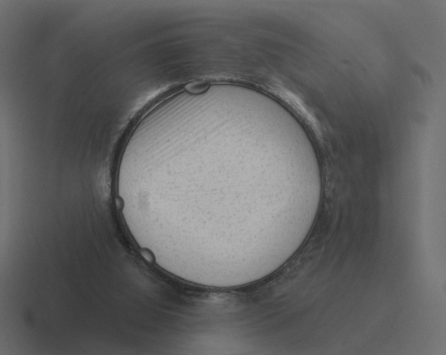 X0000116340060200912291620